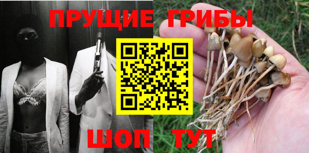 Псилоцибиновые грибы Magic Shrooms Серов